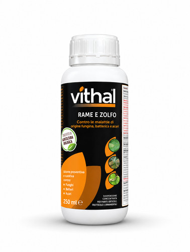Vithal expert rame zolfo - expert, lt